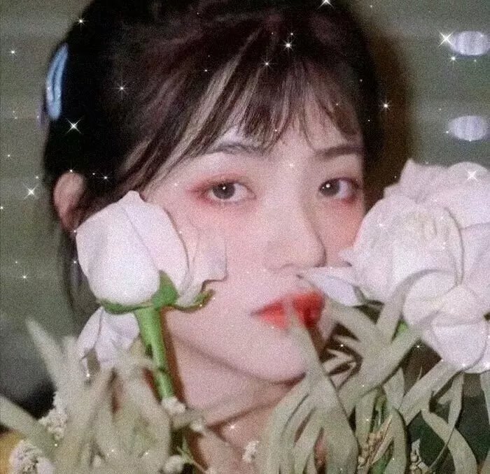 蕾丝边吸你血封面
